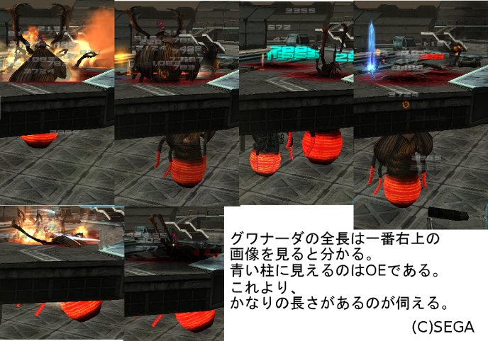 グワナーダ全長.jpg グワナーダ全長.jpg