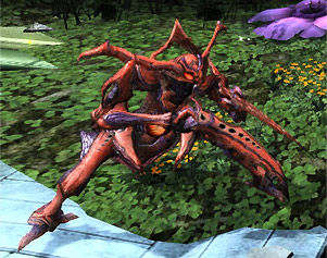 プレディカーダ・ネロ.jpg プレディカーダ・ネロ.jpg