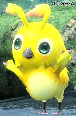 ☆10ラッピー(ペット) ☆10ラッピー(ペット)