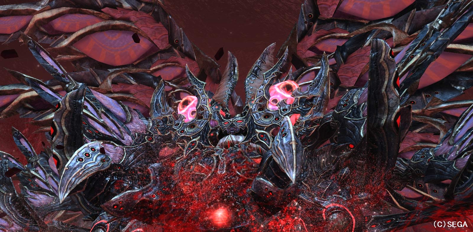 アプレンティス・ジア01.jpg アプレンティス・ジア01.jpg